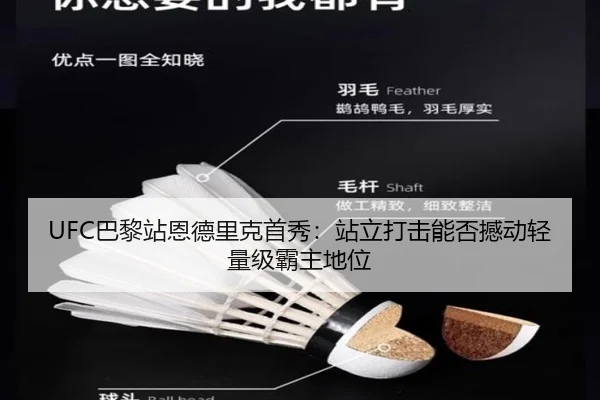 UFC巴黎站恩德里克首秀：站立打击能否撼动轻量级霸主地位