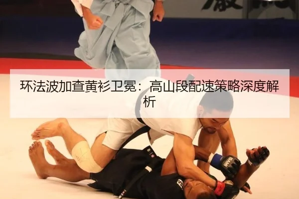 环法波加查黄衫卫冕：高山段配速策略深度解析